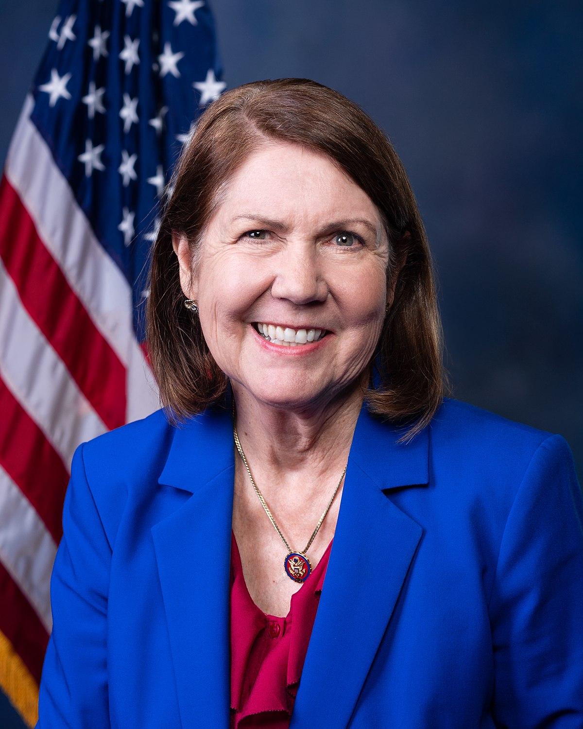 Ann Kirkpatrick — Democratic U.S. Representative for Arizona's 2nd Congressional District (official headshot) Ann Kirkpatrick — Democratic U.S. Representative for Arizona's 2nd Congressional District (official headshot)