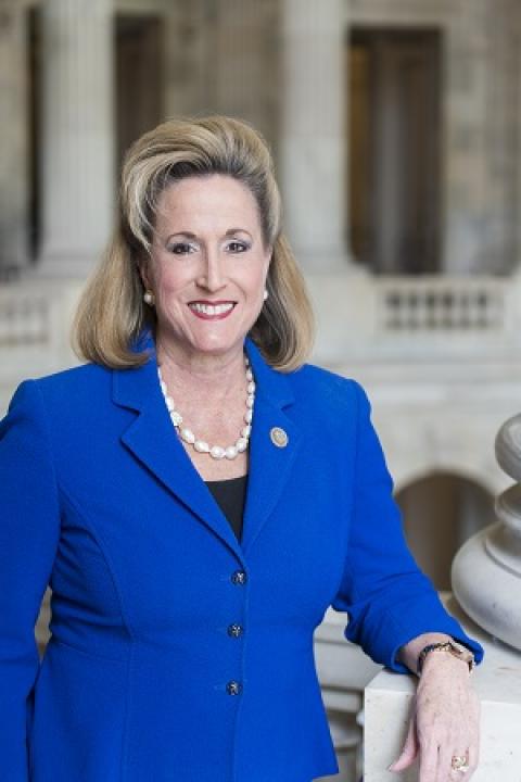 Ann Wagner — Republican U.S. Representative for Missouri's 2nd Congressional District (official headshot)