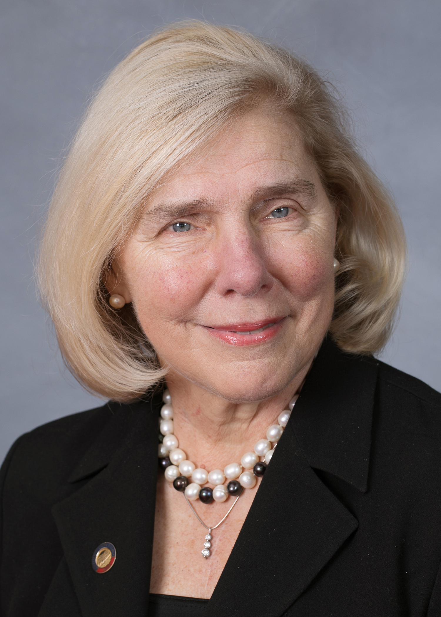Becky Carney — Democratic State Representative for North Carolina District 102 (official headshot) Becky Carney — Democratic State Representative for North Carolina District 102 (official headshot)
