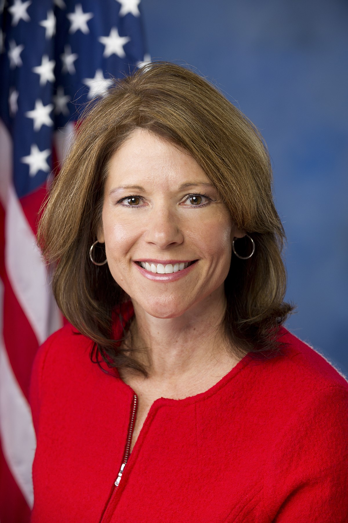 Cheri Bustos — Democratic U.S. Representative for Illinois's 17th Congressional District (official headshot) Cheri Bustos — Democratic U.S. Representative for Illinois's 17th Congressional District (official headshot)