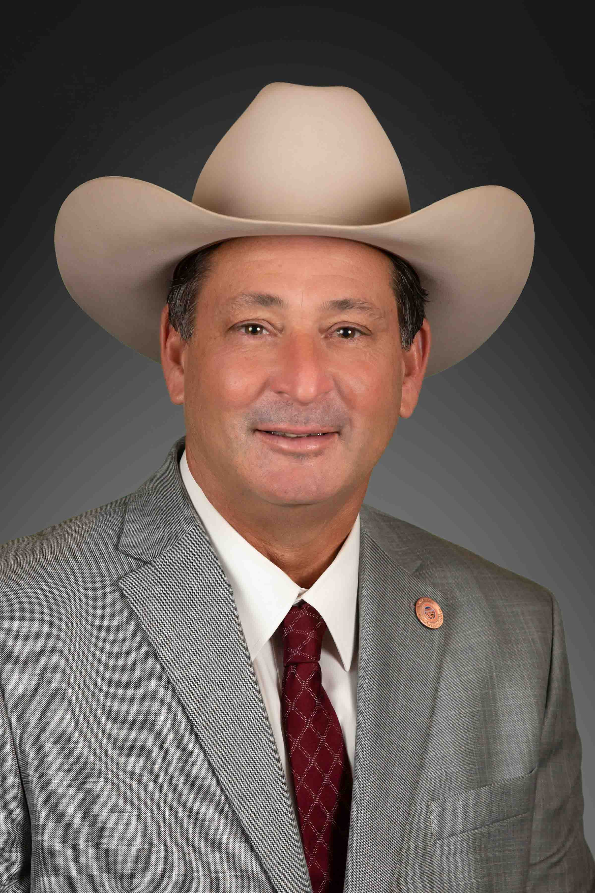 David Cook — Republican State Representative for Arizona District 7 (official headshot) David Cook — Republican State Representative for Arizona District 7 (official headshot)