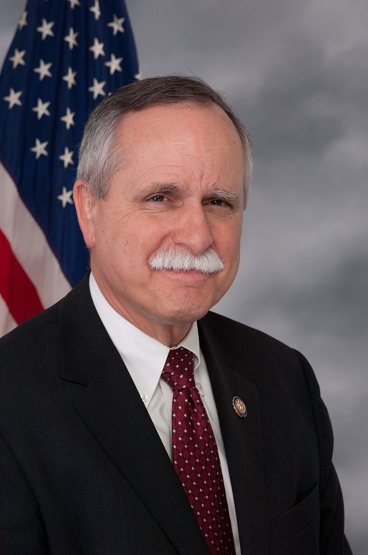 David McKinley — Republican U.S. Representative for West Virginia's 1st Congressional District (official headshot) David McKinley — Republican U.S. Representative for West Virginia's 1st Congressional District (official headshot)