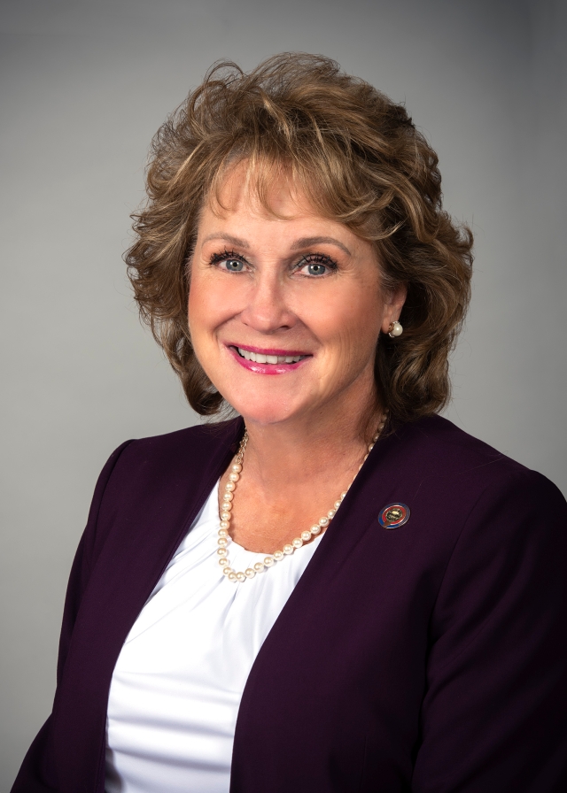 Gail K. Pavliga — Republican State Representative for Ohio District 72 (official headshot)