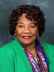 Geraldine “Geri” F. Thompson — Democratic State Senator for Florida District 15 (official headshot)