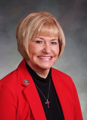 Janice Rich — Republican State Senator for Colorado District 7 (official headshot) Janice Rich — Republican State Senator for Colorado District 7 (official headshot)