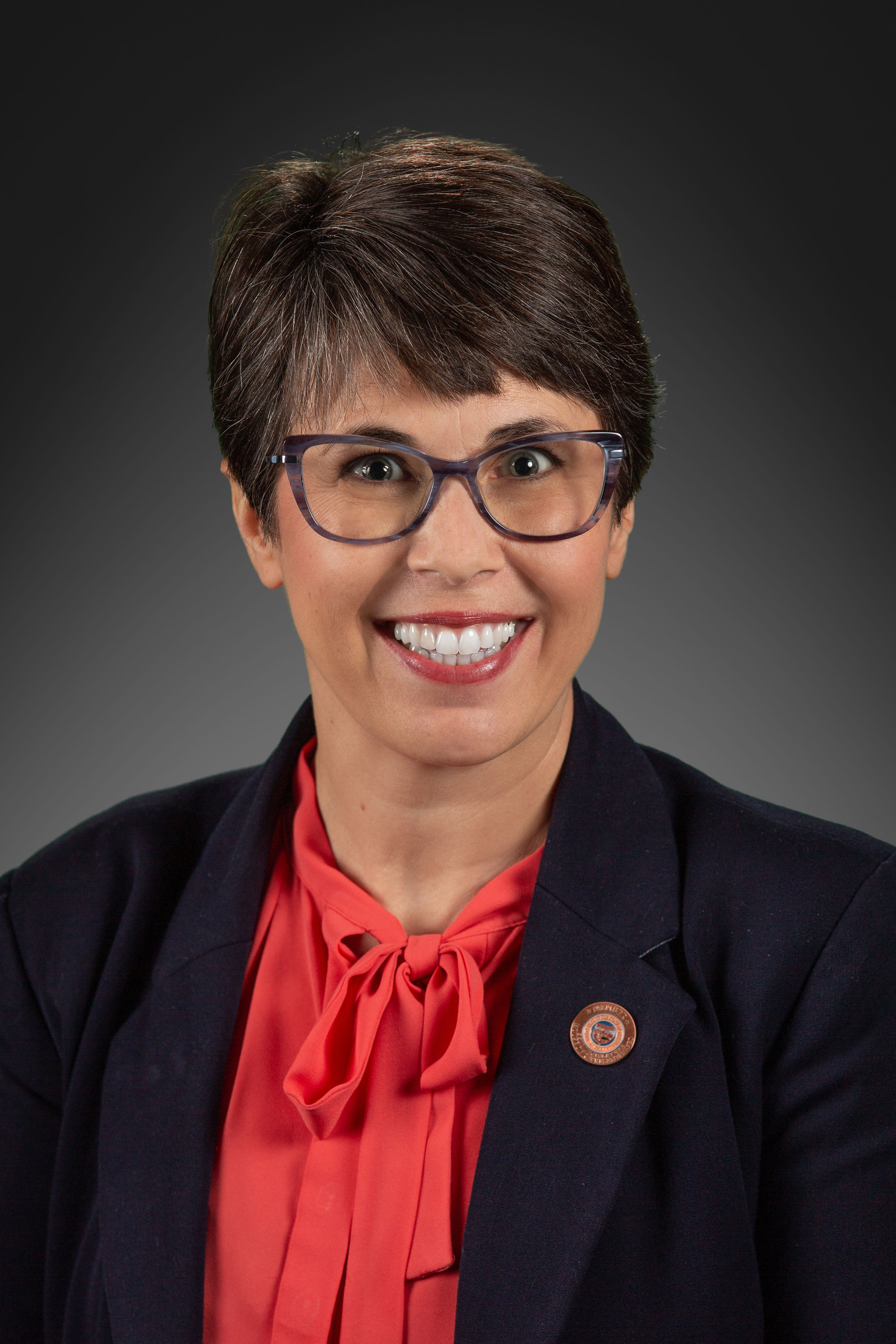 Jennifer Pawlik — Democratic State Representative for Arizona District 13 (official headshot) Jennifer Pawlik — Democratic State Representative for Arizona District 13 (official headshot)