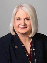 Linda Stewart — Democratic State Senator for Florida District 17 (official headshot)