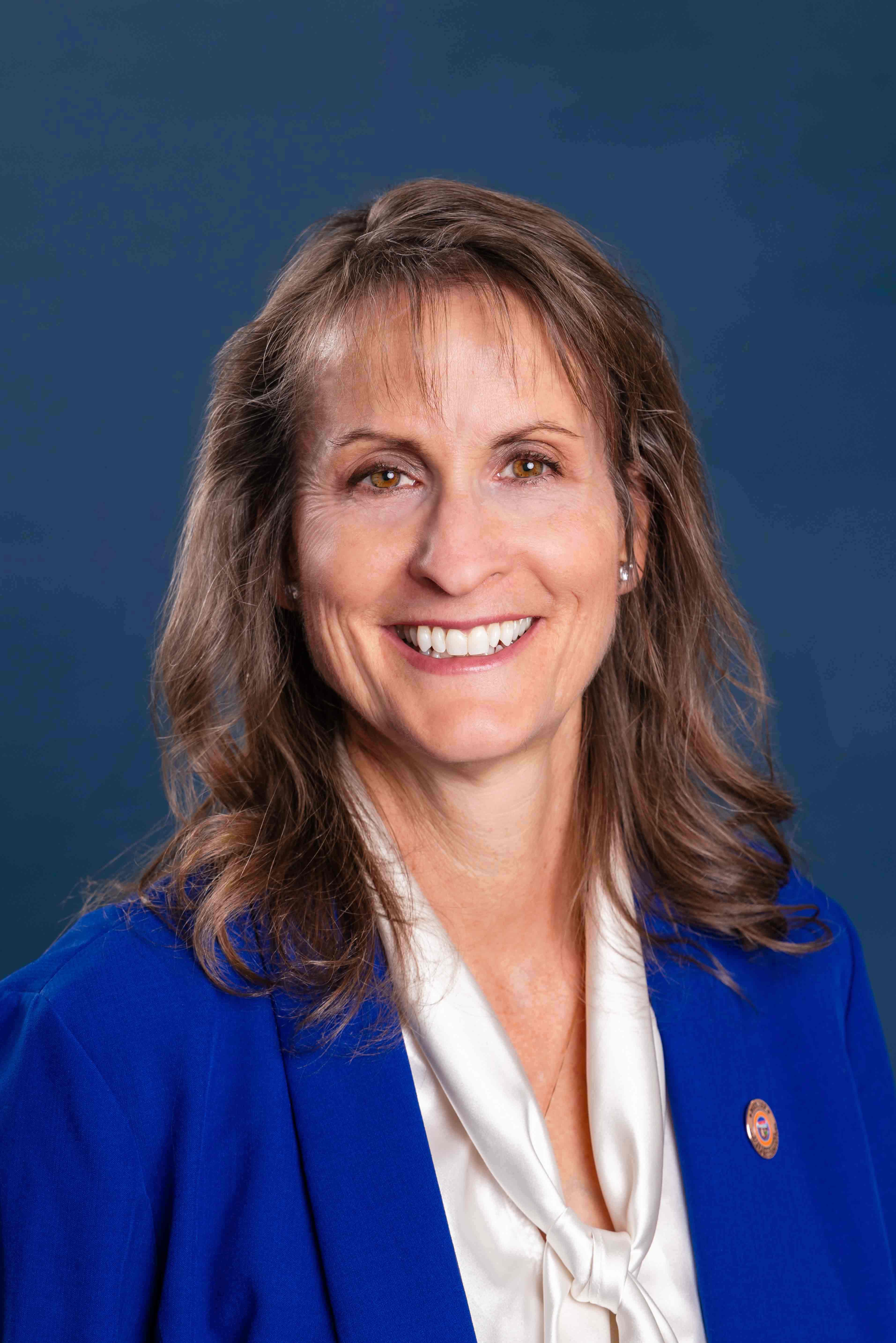 Lisa Fink — Republican State Representative for Arizona District 27 (official headshot)