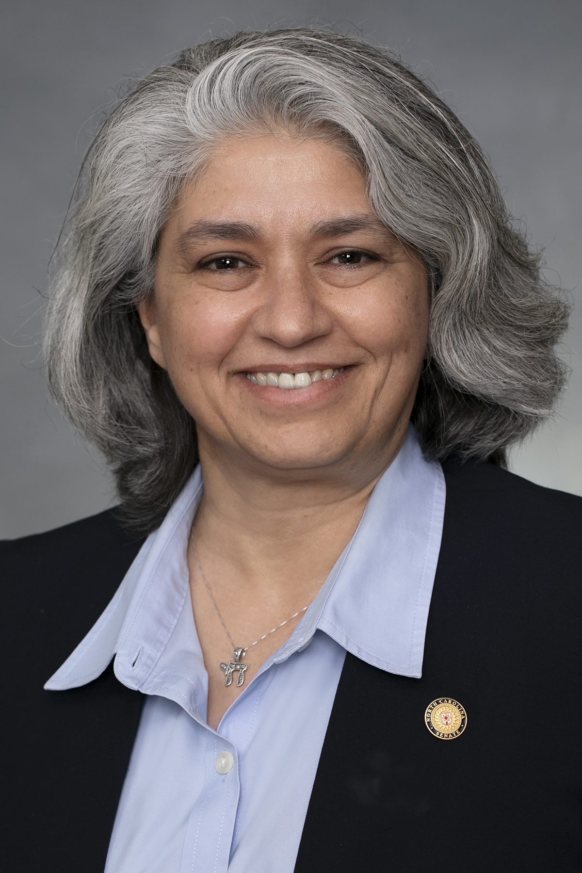 Lisa Grafstein — Democratic State Senator for North Carolina District 13 (official headshot)