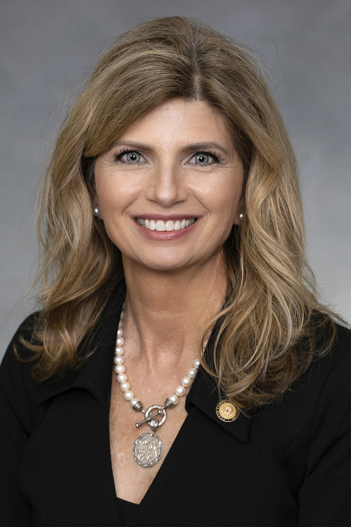 Lisa S. Barnes — Republican State Senator for North Carolina District 11 (official headshot) Lisa S. Barnes — Republican State Senator for North Carolina District 11 (official headshot)