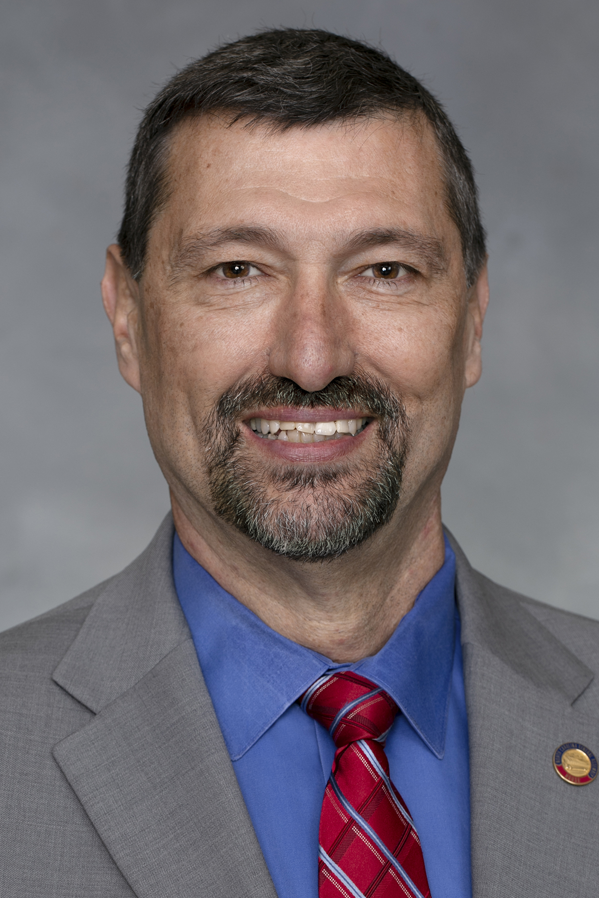 Mark Pless — Republican State Representative for North Carolina District 118 (official headshot)