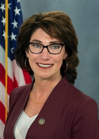MaryLouise Isaacson — Democratic State Representative for Pennsylvania District 175 (official headshot)