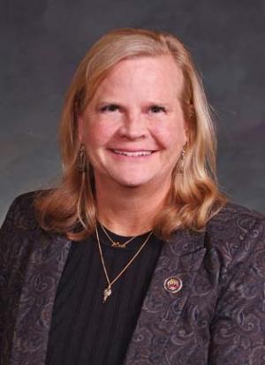 Meg Froelich — Democratic State Representative for Colorado District 3 (official headshot)