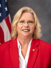 Nan Cobb — Republican State Representative for Florida District 26 (official headshot) Nan Cobb — Republican State Representative for Florida District 26 (official headshot)