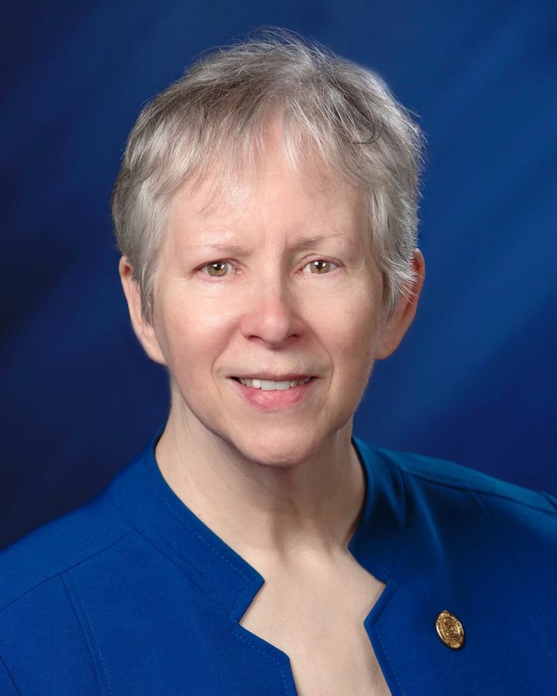 Pat Boy — Democratic State Representative for Indiana District 9 (official headshot)