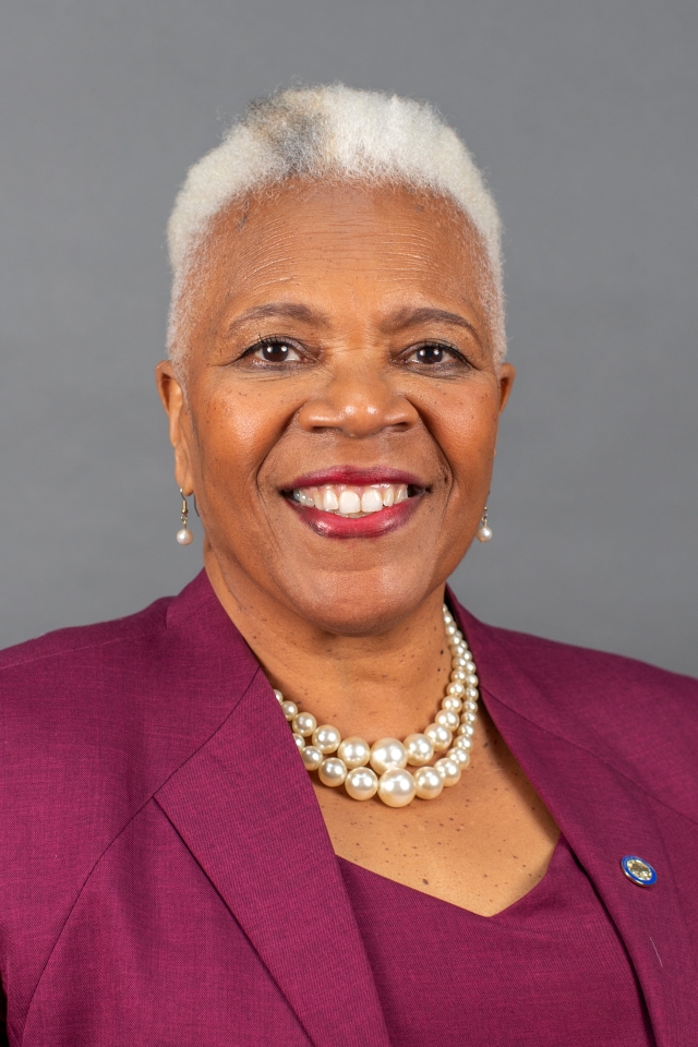Paula Hicks-Hudson — Democratic State Senator for Ohio District 11 (official headshot)