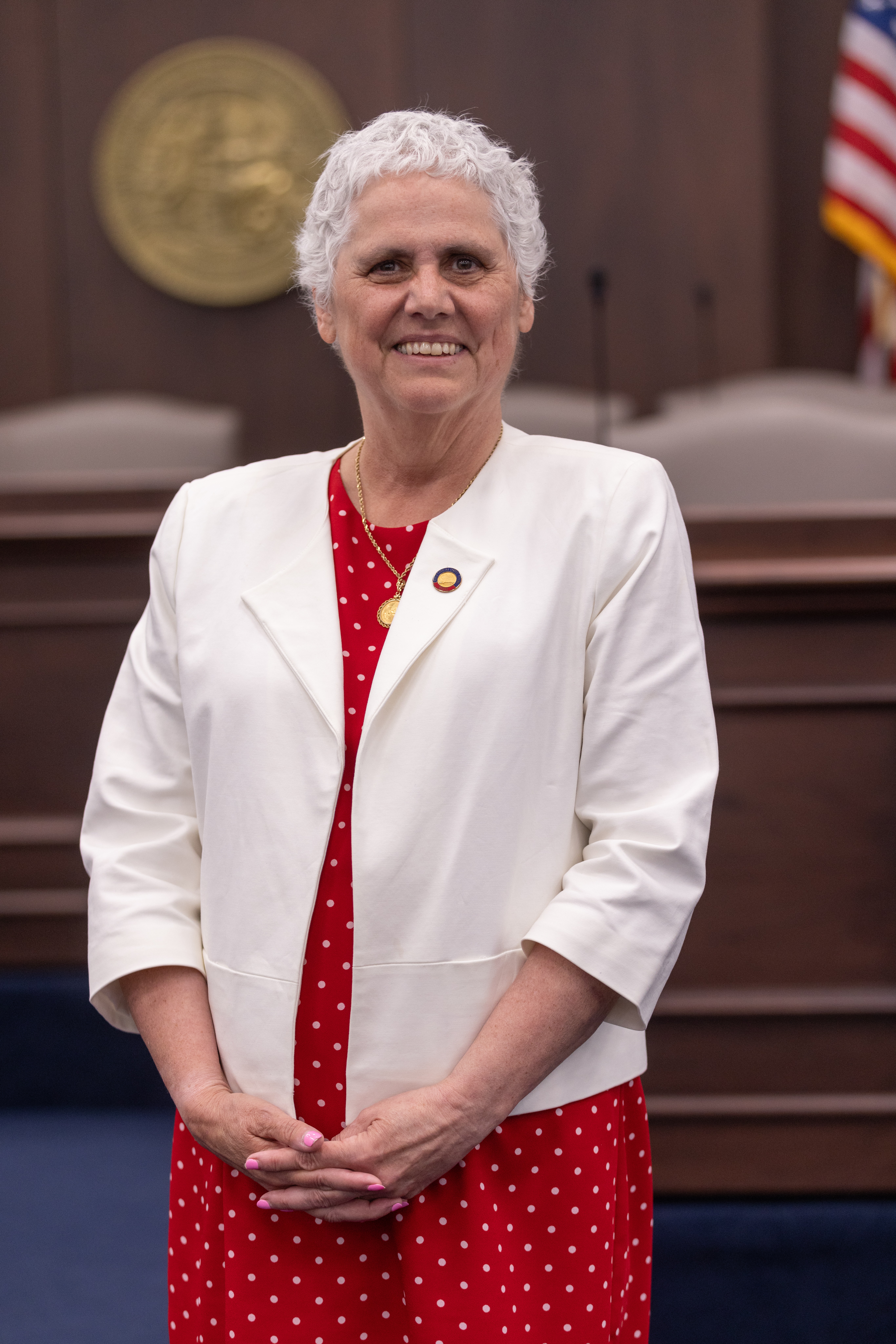 Sarah Stevens — Republican State Representative for North Carolina District 90 (official headshot)
