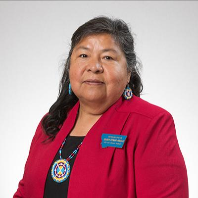 Sharon Stewart Peregoy — Democratic State Representative for Montana District 42 (official headshot)