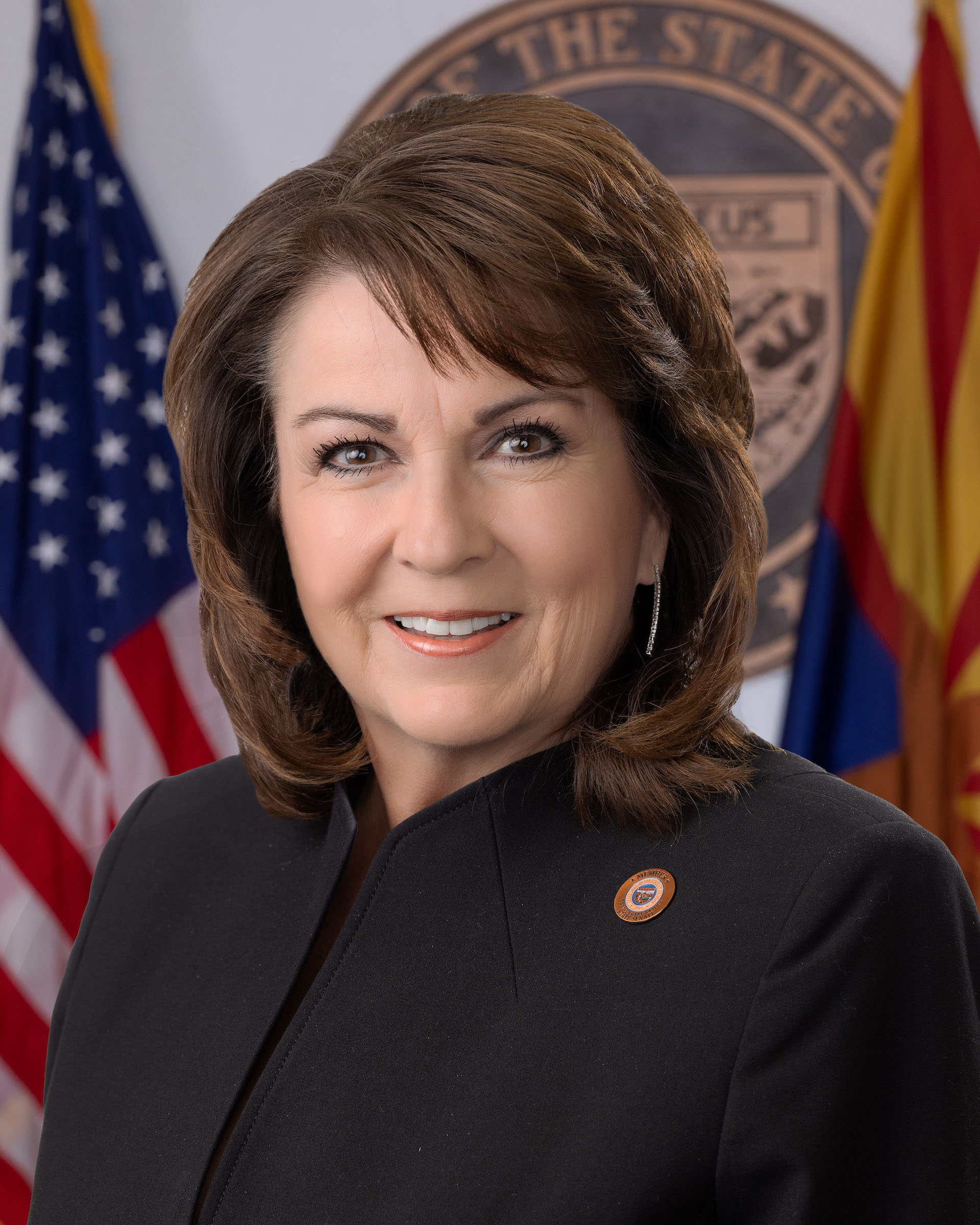 Sine Kerr — Republican State Senator for Arizona District 25 (official headshot) Sine Kerr — Republican State Senator for Arizona District 25 (official headshot)