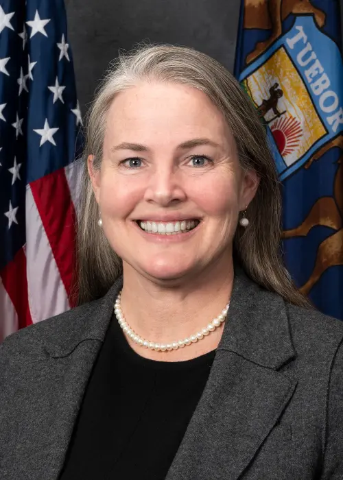 Sue Shink — Democratic State Senator for Michigan District 14 (official headshot)