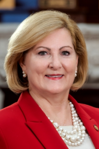 Teresa Fedor — Democratic State Senator for Ohio District 11 (official headshot)